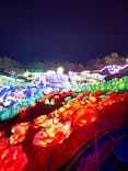 伊豆ぐらんぱる公園に投稿された画像（2023/12/10）