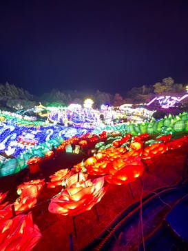 伊豆ぐらんぱる公園に投稿された画像（2023/12/10）