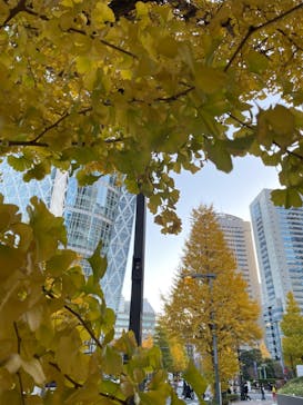 ゴッホと静物画　伝統から革新へ（SＯＭＰＯ美術館）に投稿された画像（2023/12/10）