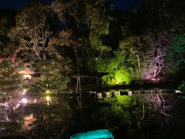 NAKEDヨルマイリ 2025-26 平安神宮に投稿された画像（2023/12/10）