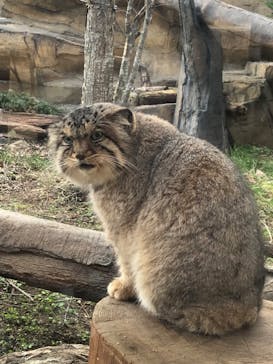 那須どうぶつ王国に投稿された画像（2023/12/10）