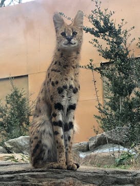 那須どうぶつ王国に投稿された画像（2023/12/10）