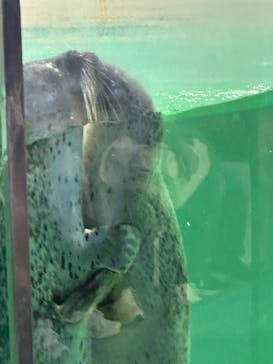 下田海中水族館に投稿された画像（2023/12/10）