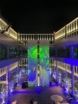 ハルカス300(展望台)に投稿された画像（2023/12/10）