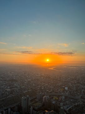 ハルカス300(展望台)に投稿された画像（2023/12/10）