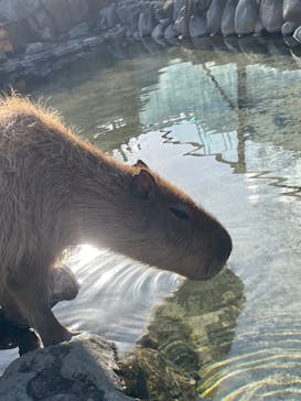 那須どうぶつ王国に投稿された画像（2023/12/10）