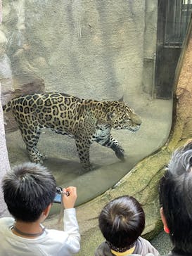 那須どうぶつ王国に投稿された画像（2023/12/10）