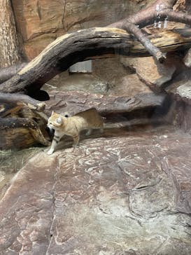 那須どうぶつ王国に投稿された画像（2023/12/10）