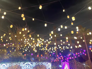 ひらかたパークに投稿された画像（2023/12/10）