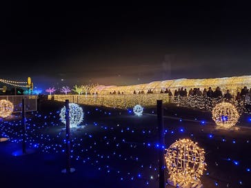 東京メガイルミに投稿された画像（2023/12/10）