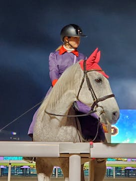 東京メガイルミに投稿された画像（2023/12/10）