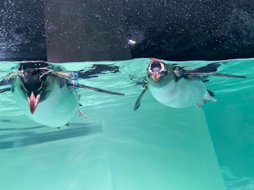 AOAO SAPPOROに投稿された画像（2023/12/10）