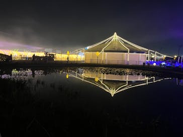 東京メガイルミに投稿された画像（2023/12/10）