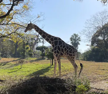天王寺動物園に投稿された画像（2023/12/10）