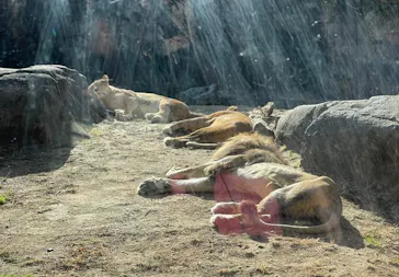 天王寺動物園に投稿された画像（2023/12/10）