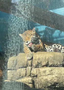 天王寺動物園に投稿された画像（2023/12/10）