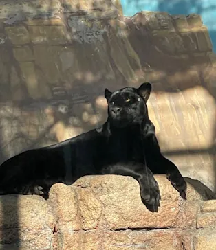 天王寺動物園に投稿された画像（2023/12/10）