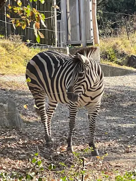 天王寺動物園に投稿された画像（2023/12/10）