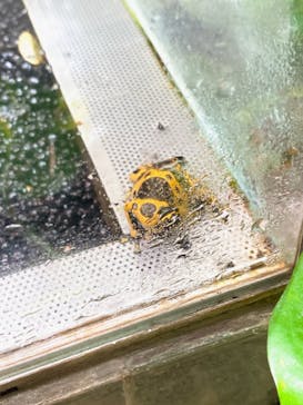 カワスイ 川崎⽔族館に投稿された画像（2023/12/10）