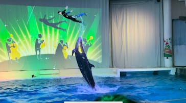 アクアワールド茨城県大洗水族館に投稿された画像（2023/12/9）