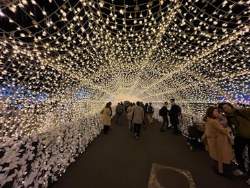 東京メガイルミに投稿された画像（2023/12/10）