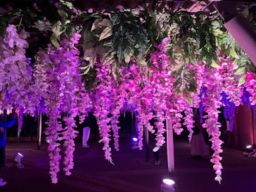 東京メガイルミに投稿された画像（2023/12/10）