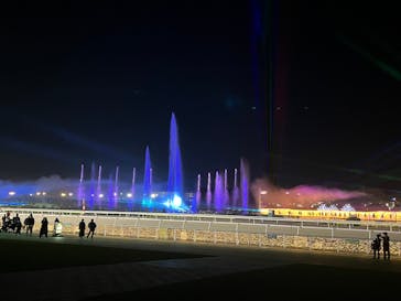 東京メガイルミに投稿された画像（2023/12/10）