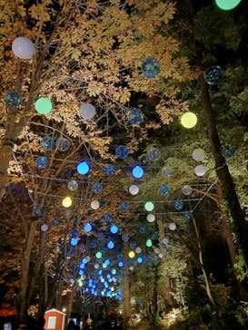 ムーミンバレーパークに投稿された画像（2023/12/10）