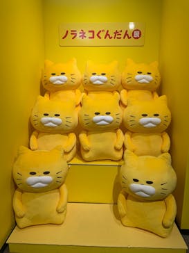 ノラネコぐんだん展に投稿された画像（2023/12/10）