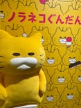 ノラネコぐんだん展に投稿された画像（2023/12/11）