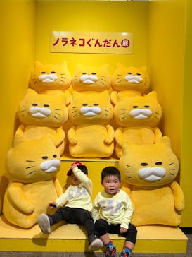 ノラネコぐんだん展に投稿された画像（2023/12/11）