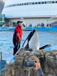 名古屋港水族館に投稿された画像（2023/12/11）