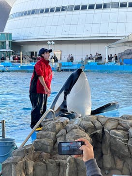 名古屋港水族館に投稿された画像（2023/12/11）