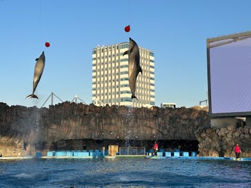 名古屋港水族館に投稿された画像（2023/12/11）