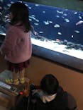 カワスイ 川崎⽔族館に投稿された画像（2023/12/11）