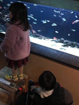 カワスイ 川崎⽔族館に投稿された画像（2023/12/11）