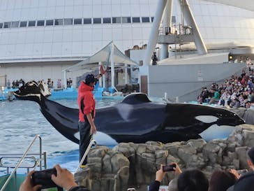 名古屋港水族館に投稿された画像（2023/12/11）