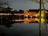 NAKED×京都水族館に投稿された画像（2023/12/11）