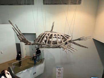 名古屋港水族館に投稿された画像（2023/12/11）