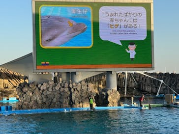 名古屋港水族館に投稿された画像（2023/12/11）