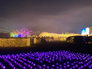 東京メガイルミに投稿された画像（2023/12/11）