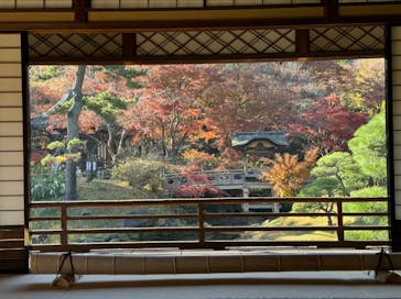 三溪園に投稿された画像（2023/12/11）