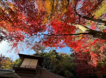 三溪園に投稿された画像（2023/12/11）