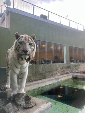 伊豆アニマルキングダムに投稿された画像（2023/12/11）