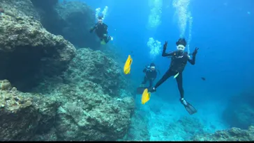 武藤潜水に投稿された画像（2023/12/11）