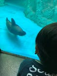 よこはま動物園ズーラシアに投稿された画像（2023/12/11）