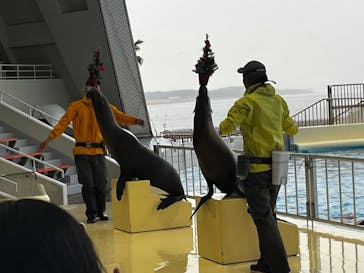 マリンワールド海の中道に投稿された画像（2023/12/11）