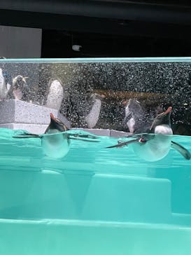 AOAO SAPPOROに投稿された画像（2023/12/11）