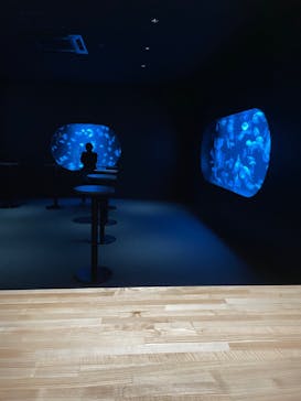 AOAO SAPPOROに投稿された画像（2023/12/11）