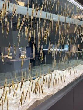 AOAO SAPPOROに投稿された画像（2023/12/11）